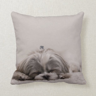 Almofada Travesseiro do tzu do sono Shih, cão do sono