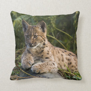 Almofada travesseiro - lince