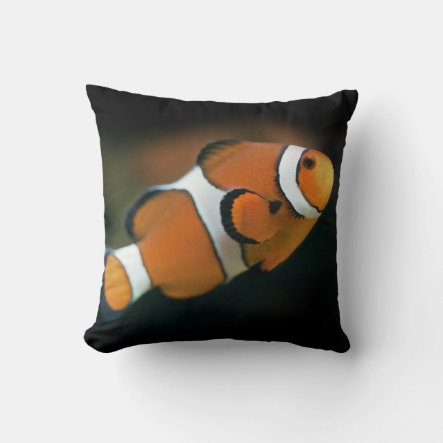 Almofada Travesseiro Nemo (Frente)
