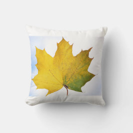 Almofada Travesseiro para cada sala