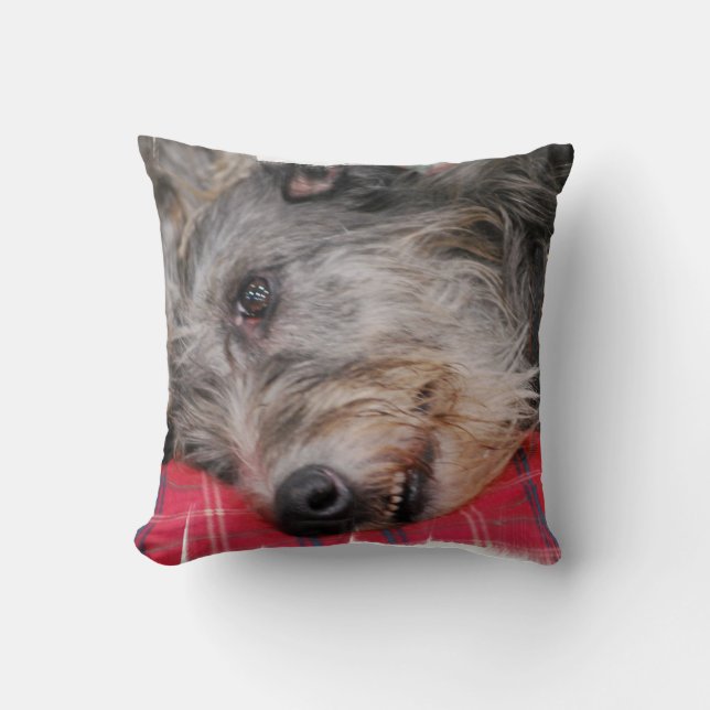 Almofada travesseiro - personalizado (Frente)