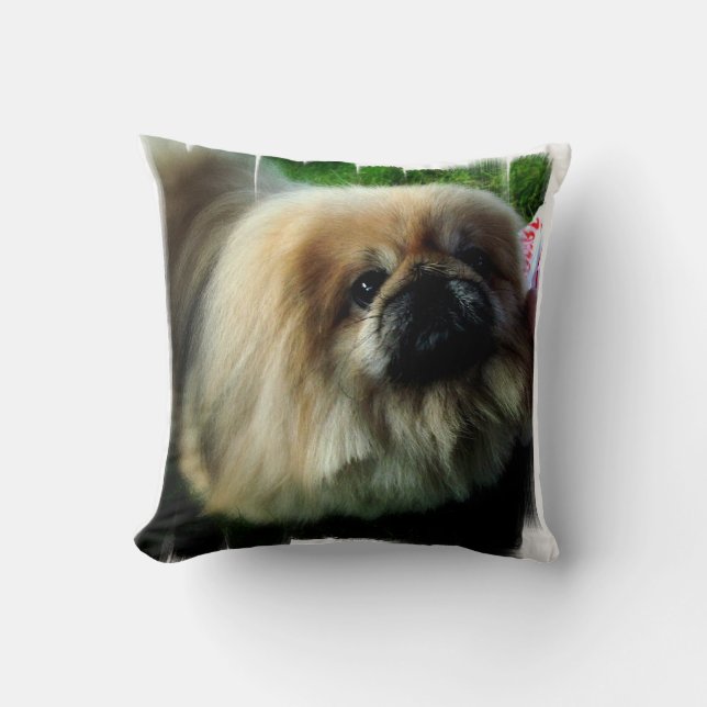 Almofada travesseiro - personalizado (Frente)