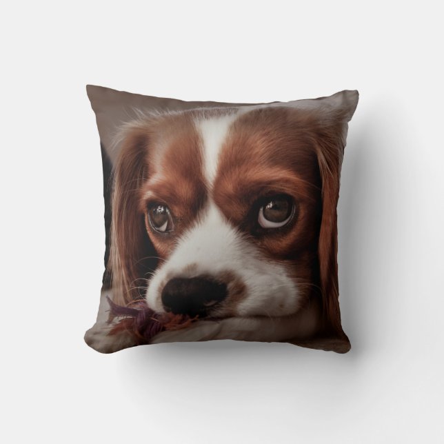 Almofada Travesseiro Personalizado para Animais de Estimaçã (Frente)