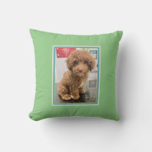 Travesseiro Pet Photo Customized Dog