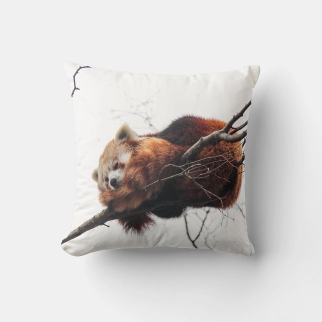 Almofada Travesseiro Red Panda American Mojo (Frente)