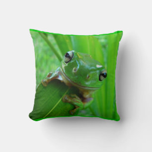 Almofada Travesseiro Sapo verde árvore