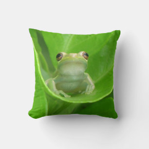 Almofada Travesseiro Sapo verde árvore