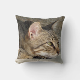 Almofada Travesseiro Tabby Cat