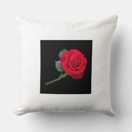 Almofada Travesseiros e Poufs