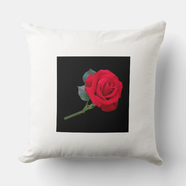 Almofada Travesseiros e Poufs (Frente)