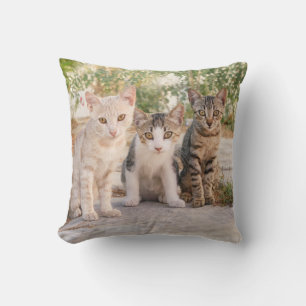 Almofada Três gatinhos bonitinhos se sentam amigáveis junto