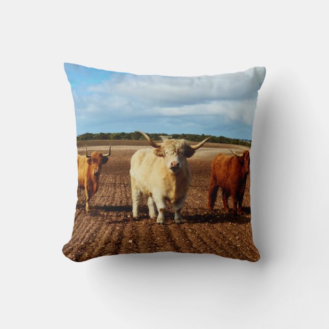 Almofada Três Vacas Do Planalto, (Frente)