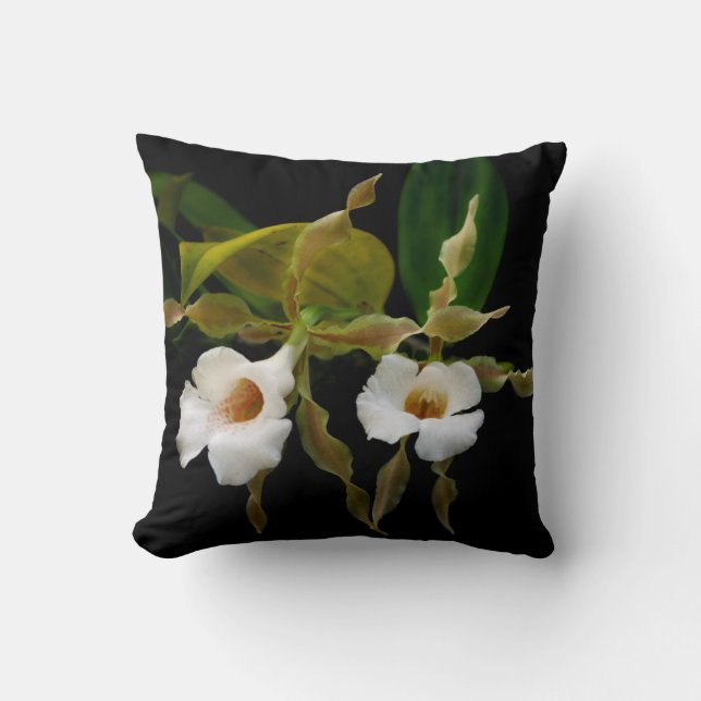 Almofada Trichopilia Tortilis (Frente)