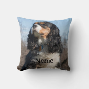 Almofada Tricolor Cavalier King Charles Spaniel Dog