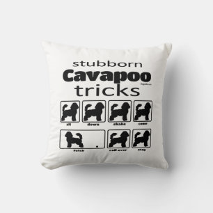 Almofada Truques de Cavapoo Tubêntricos