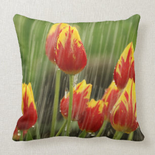 Almofada Tulipas do primavera