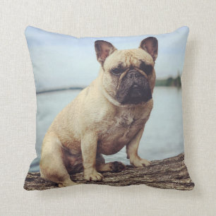 Almofada Um Bulldog Francês