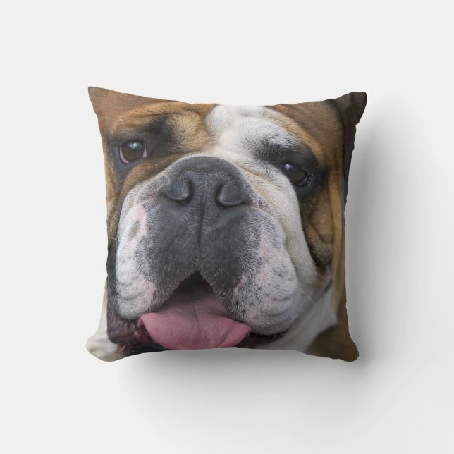 Almofada Um bulldog inglês na Bélgica (Frente)