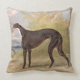 Almofada Um dos galgos de vencimento do Fox da pista de