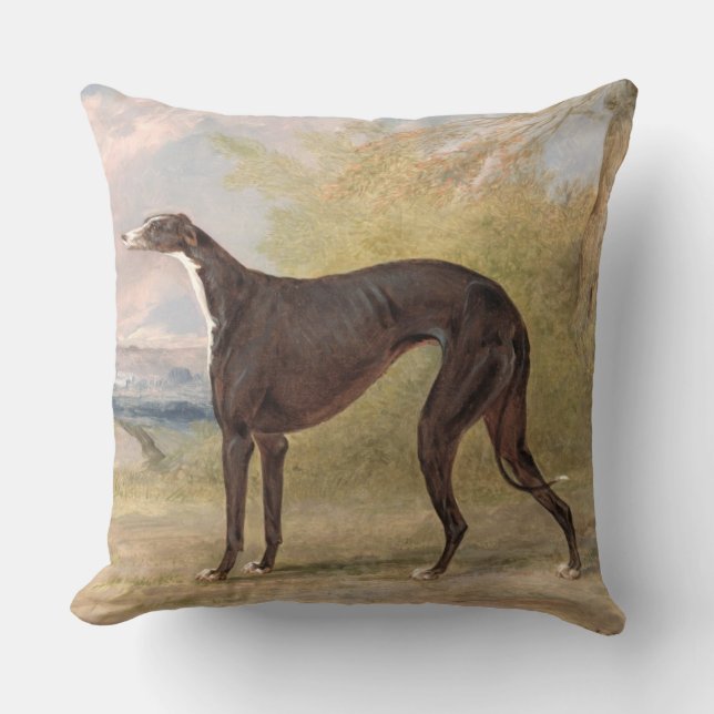 Almofada Um dos galgos de vencimento do Fox da pista de (Frente)