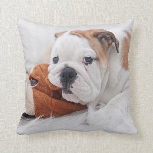 Almofada Um filhote de cachorro inglês do buldogue que jog