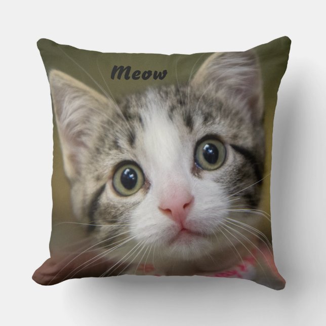 Almofada Um gatinho fofo com olhos verdes (Frente)