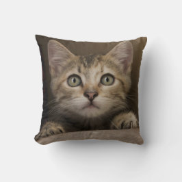 Almofada Um gatinho muito doce do gato malhado