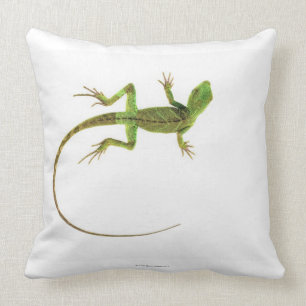 Almofada Um lagarto na terra branca pura