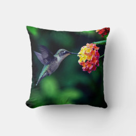 Almofada Um néctar de bebendo de beija-flor Fundo Verde