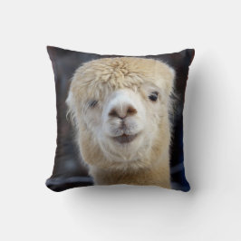 Almofada Um rosto fofo e fofinho de uma alpaca