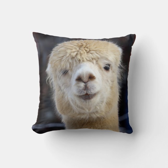 Almofada Um rosto fofo e fofinho de uma alpaca (Frente)