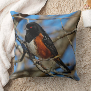 Almofada Um Towhee manchado em uma árvore