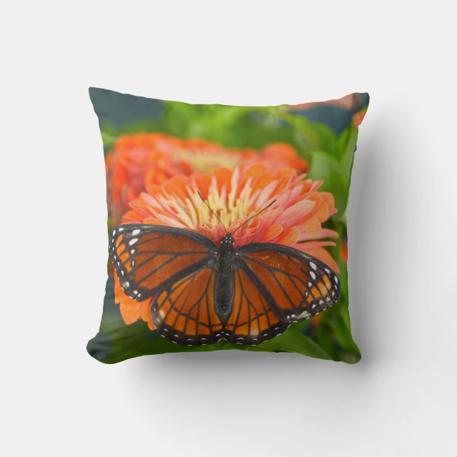 Almofada Uma Borboleta Viceroy em Zínias Laranja (Frente)