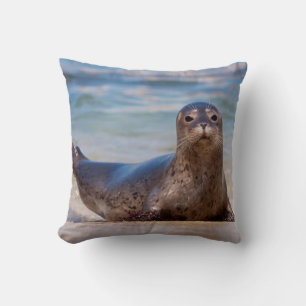 Almofada Uma foca em uma praia ao longo da Costa do Pacífic