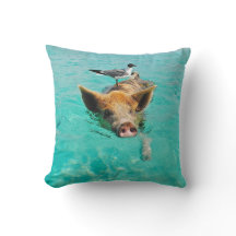 Uma gaivota de mar e um porco