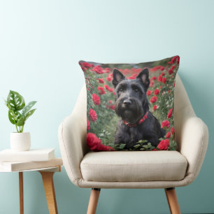 Almofada "Uma Rosa vermelha para o Black Scottish Terrier"
