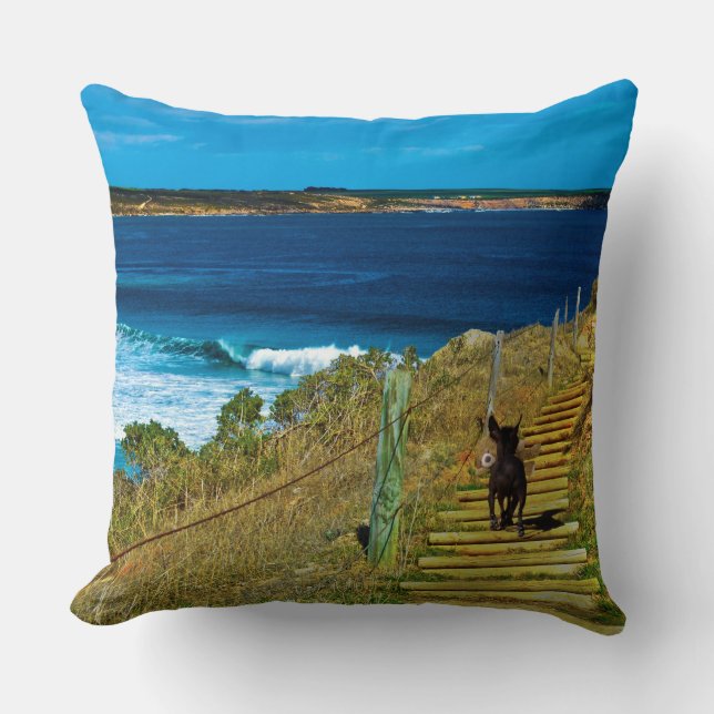 Almofada Ursinho De Roupa De Cãozinho Chinês Grande Cushion (Frente)