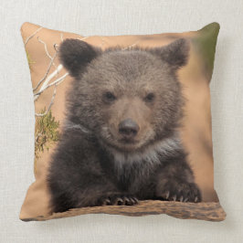 Almofada Urso Cub do urso