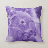 urso de koala que olha o marsupial roxo direito