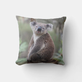 Almofada Urso Koala bonito em Travesseiro decorativo de árv