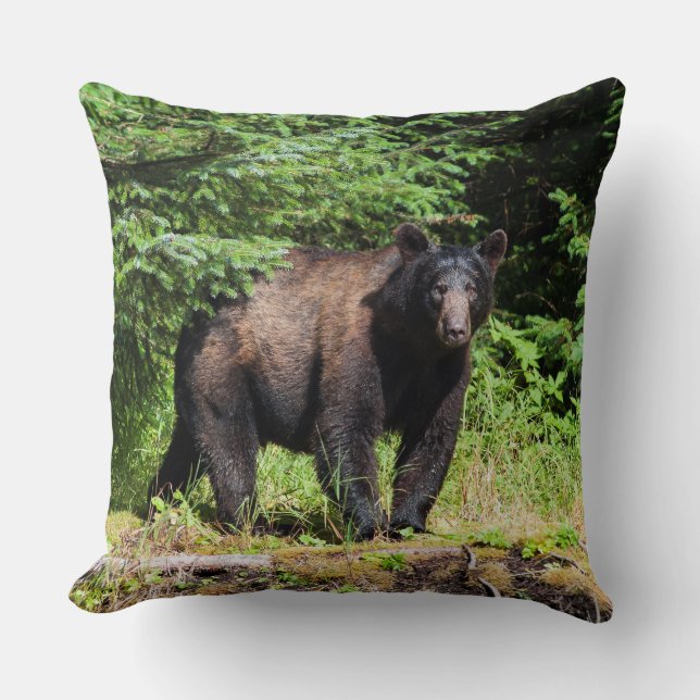 Almofada Urso Negro Alfa (Frente)