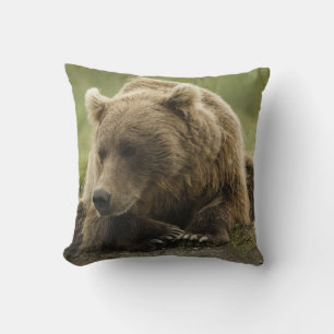 Almofada Urso pardo, ou Urso Cinzento Costeiro, Ursus