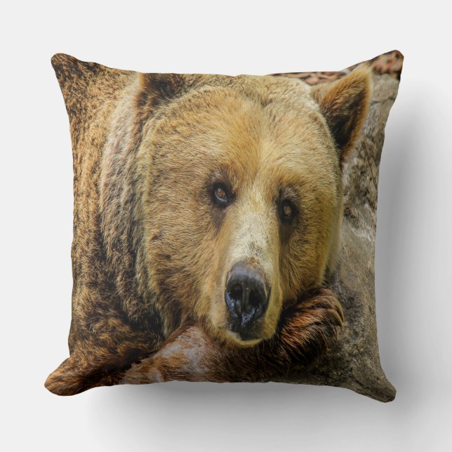 Almofada Urso Pardo Selvagem (Frente)