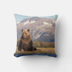 Almofada urso pardo, Ursus arctos, urso cinzento, Ursus