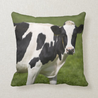 Almofada Vaca do frisão