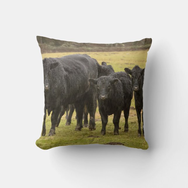 Almofada Vacas na chuva (Frente)
