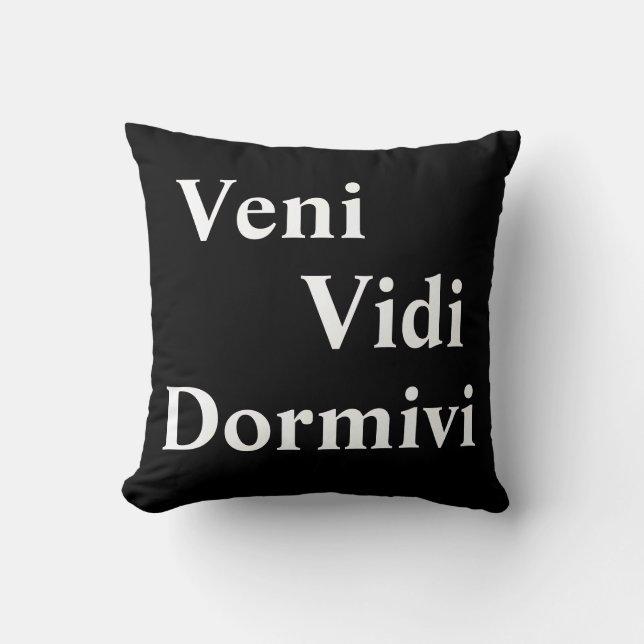 Almofada Veni Vidi Dormivi Eu vim e vi que dormi (Frente)