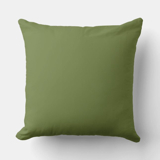 ALMOFADA VERDE DO CHIQUE PILLOW_DARK/LUZ - SÓLIDO VERDE (Frente)