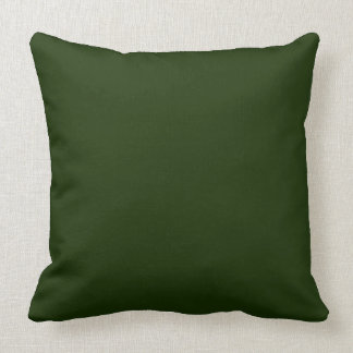 ALMOFADA VERDE DO CHIQUE PILLOW_DARK/LUZ - SÓLIDO VERDE