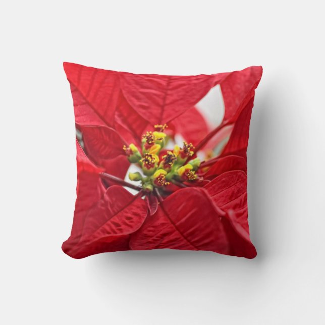 Almofada Vermelho alegre (Frente)